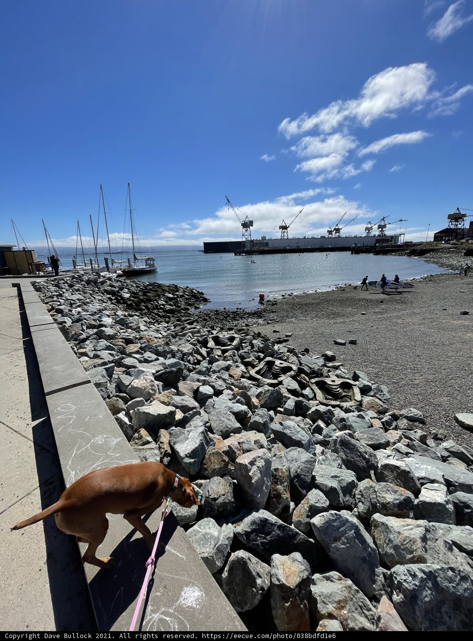 Leisurely Walk Along the Shoreline