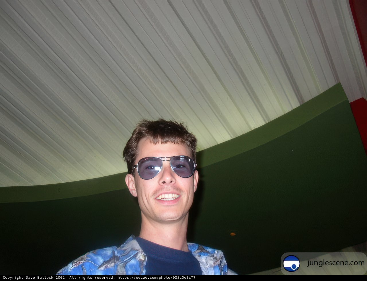 Cool Shades