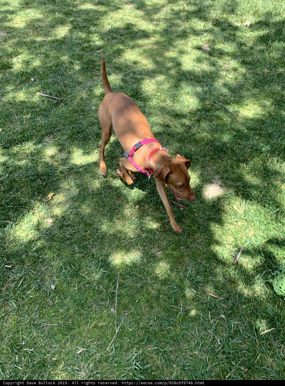Frisbee Fun in LA