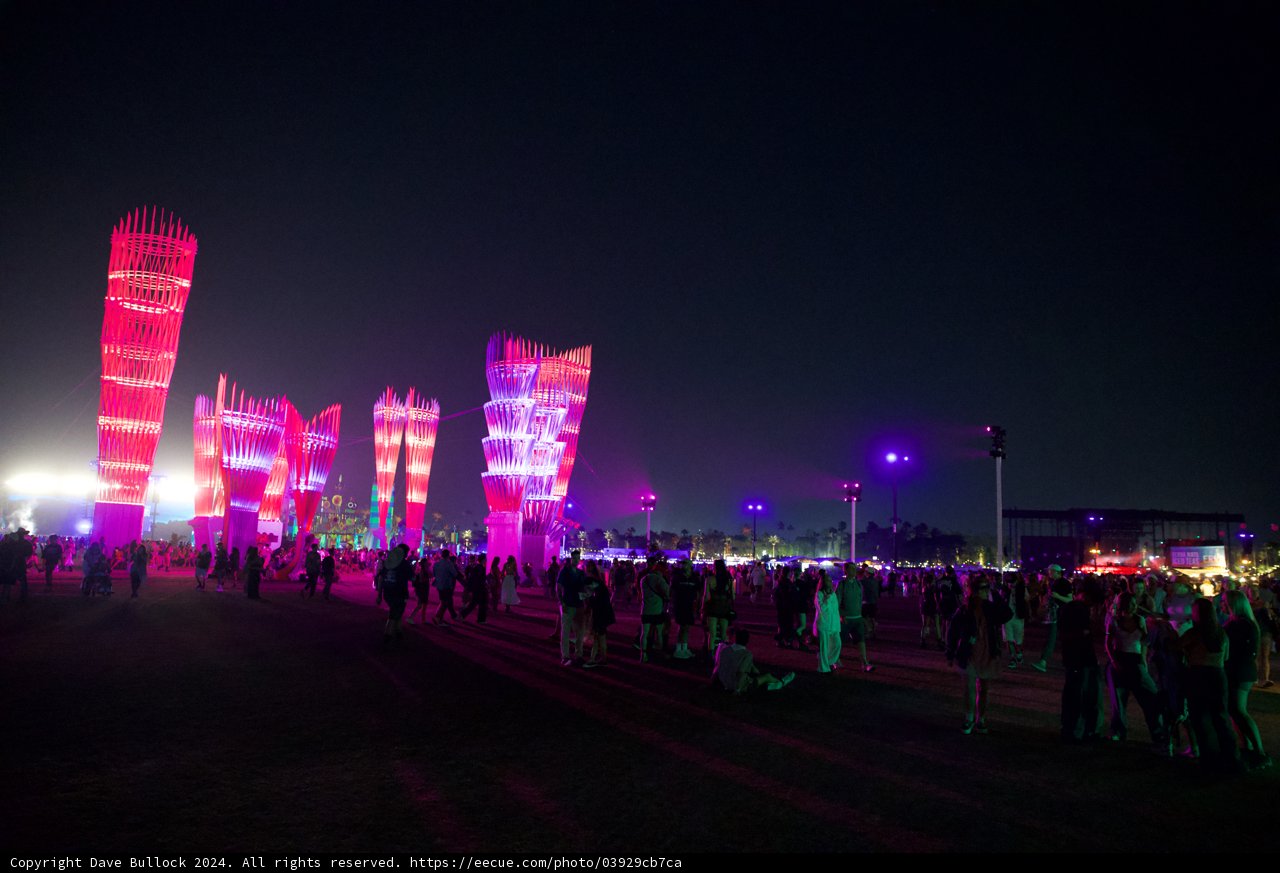 Electric Nights at Coachella 2024