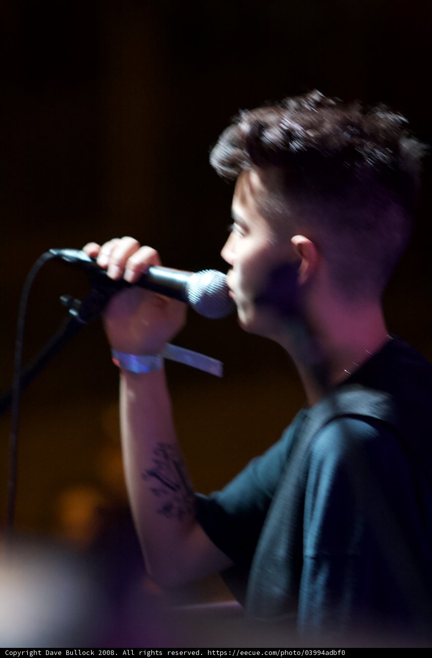 The Inked Crooner