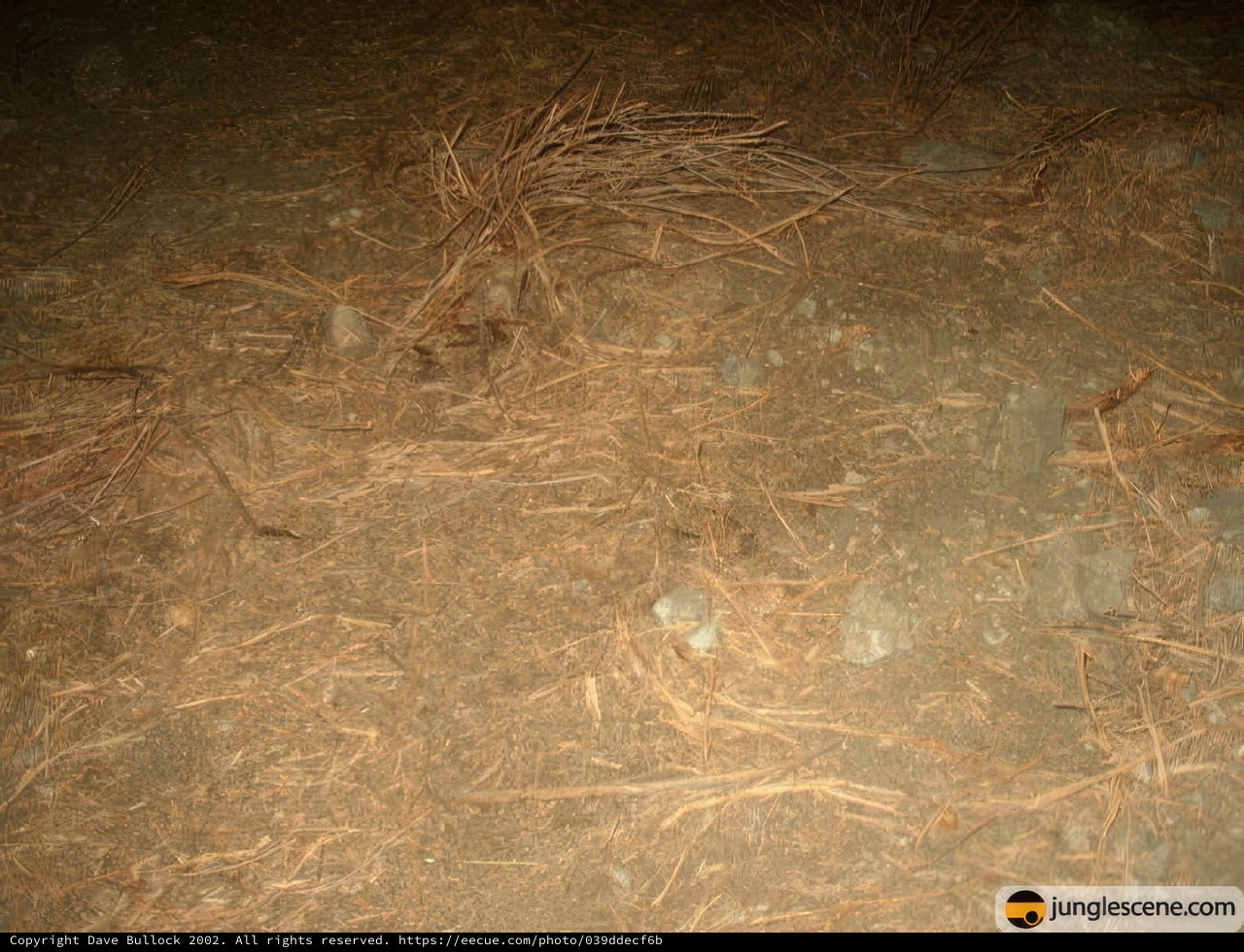 Natural Earthy Pile
