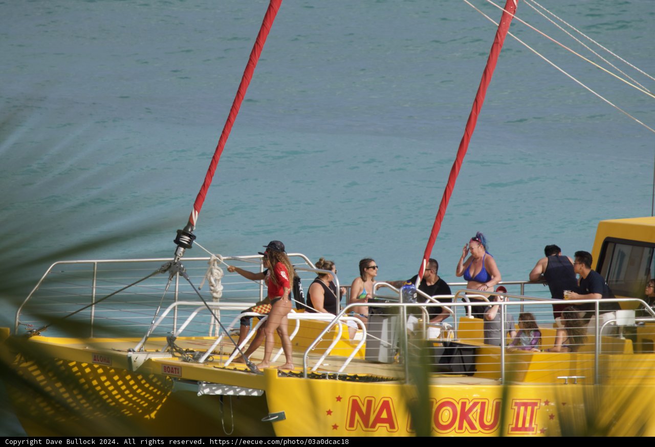 A Vibrant Day on the Waters of Hawaii