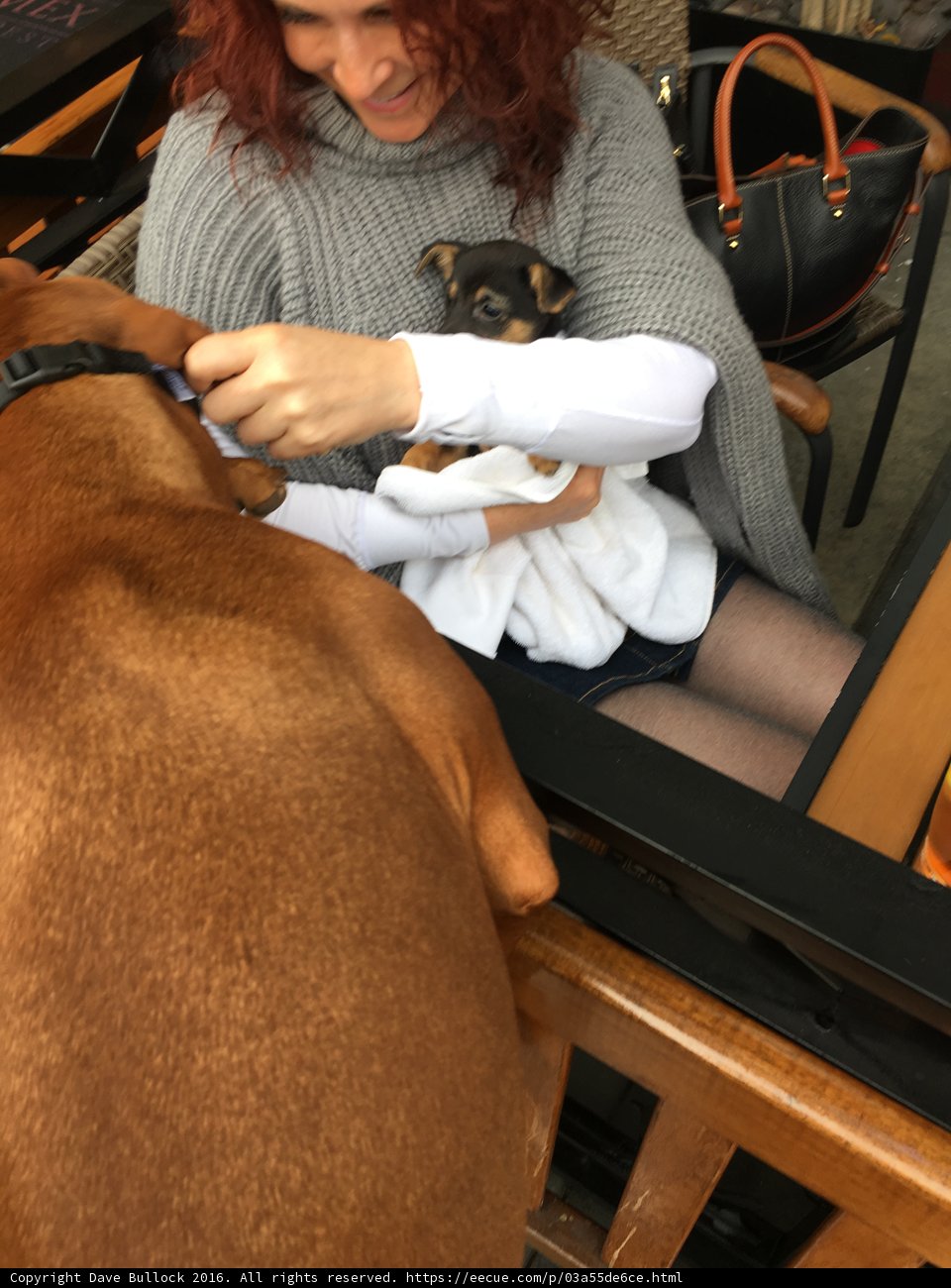Cozy afternoon with my furry friend