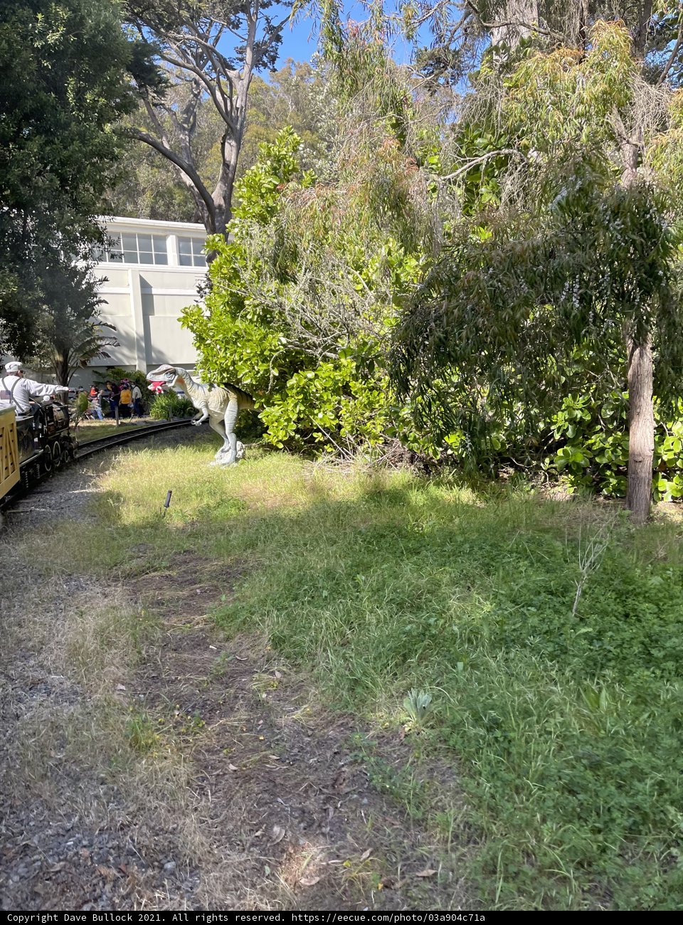 Train Parked in Front of House on Wildlife Reserve