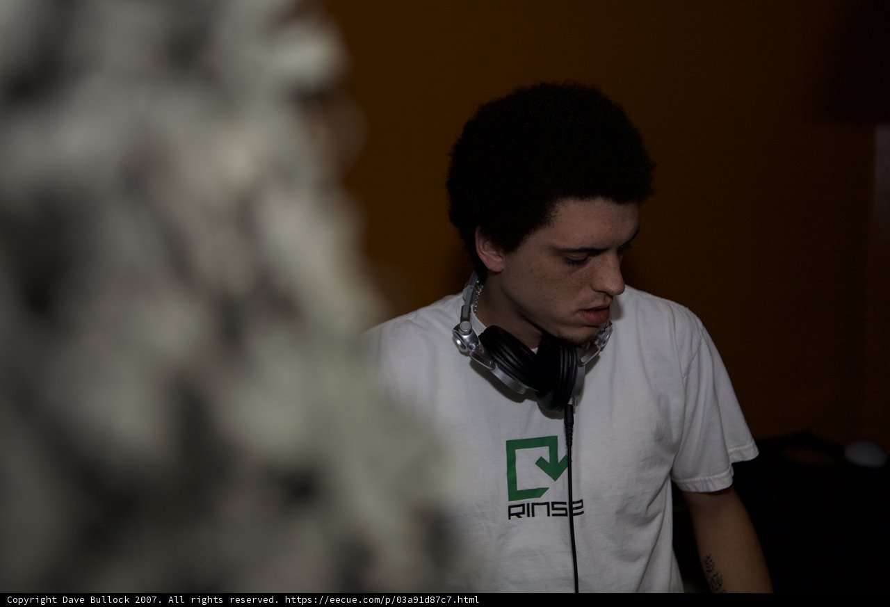 The Dubstep Enthusiast
