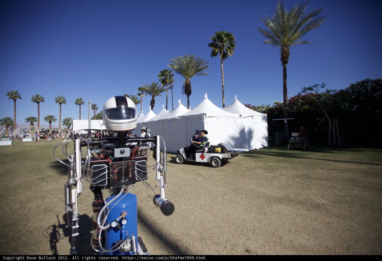 Robot in the Wild