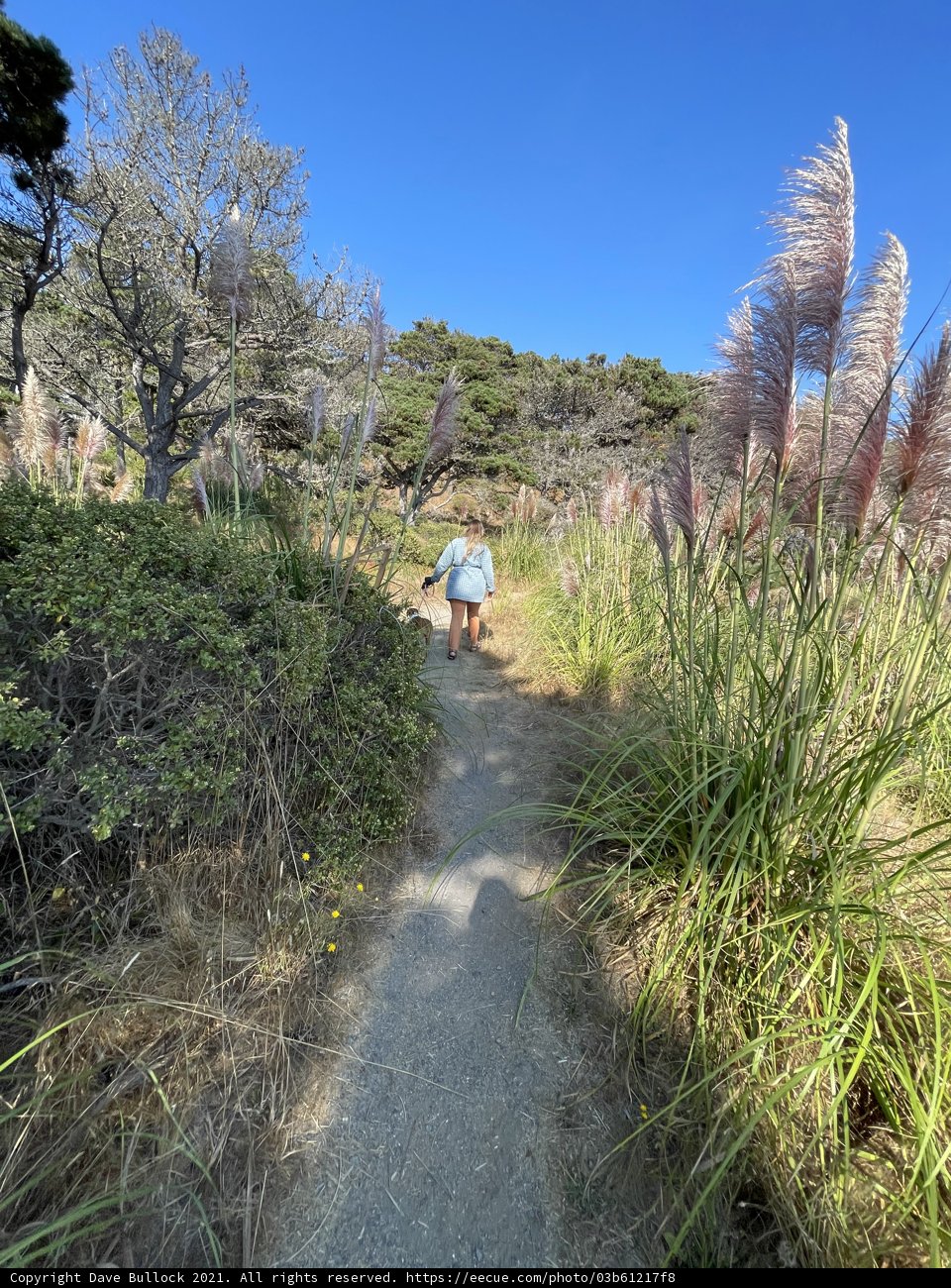 Into the Wilderness