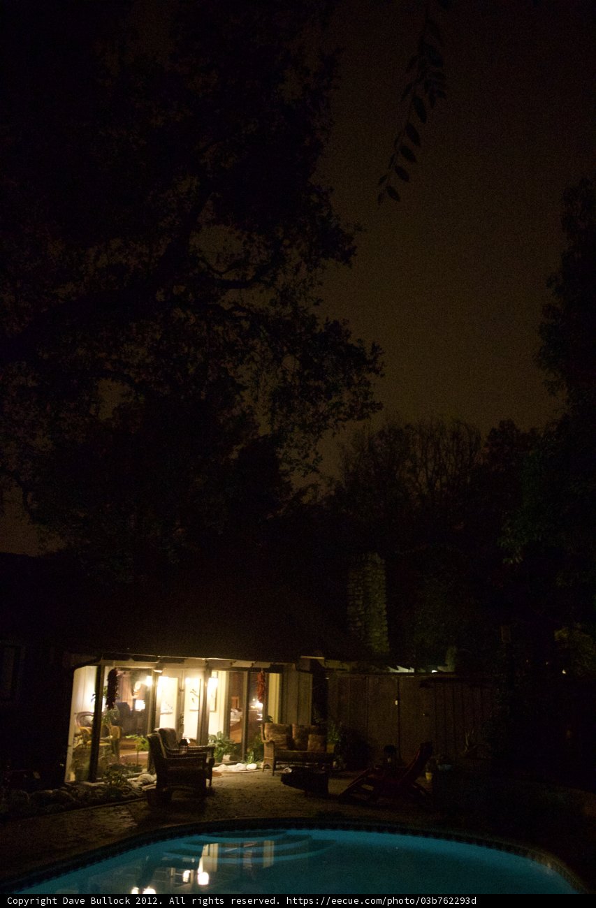 Nighttime Oasis
