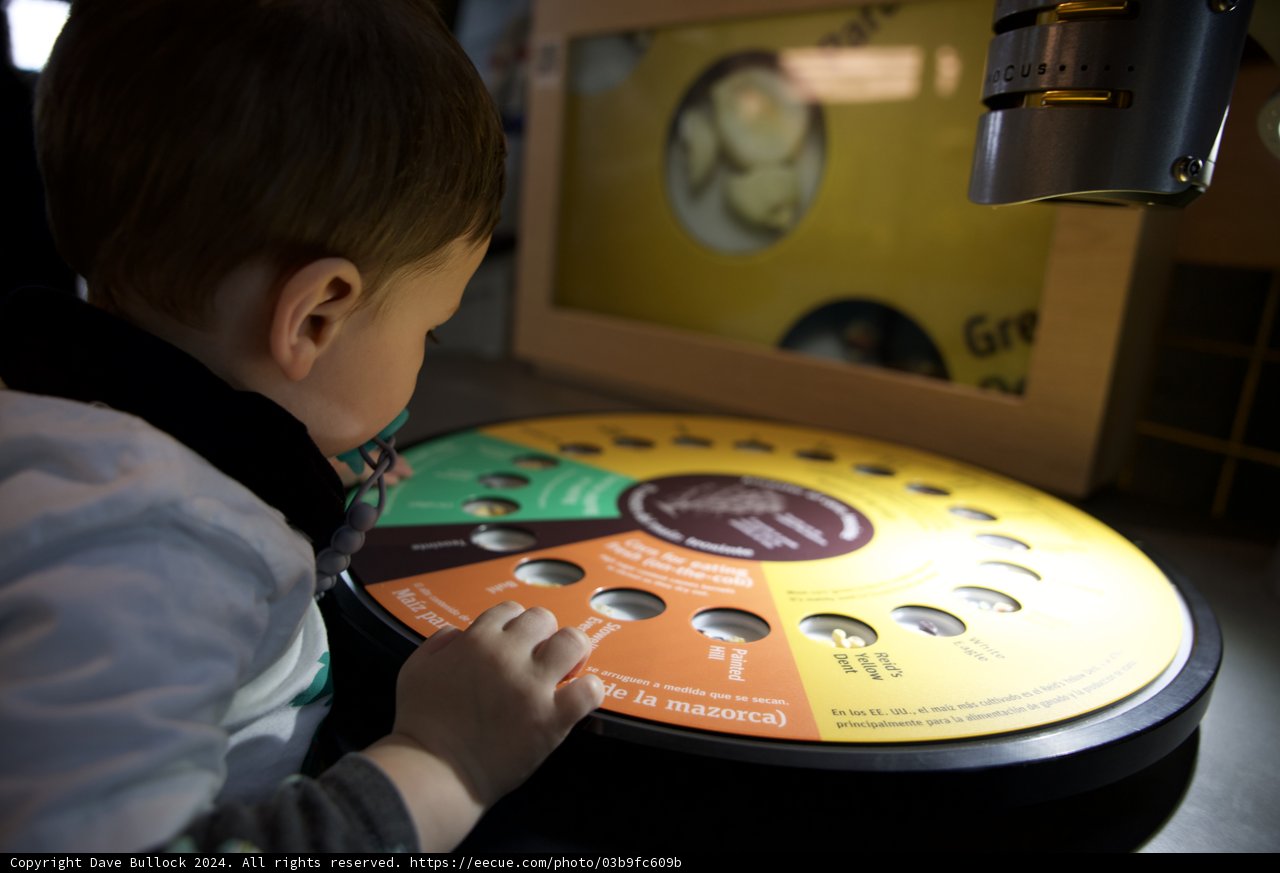 A Day Out: Wesley's World of Wonder