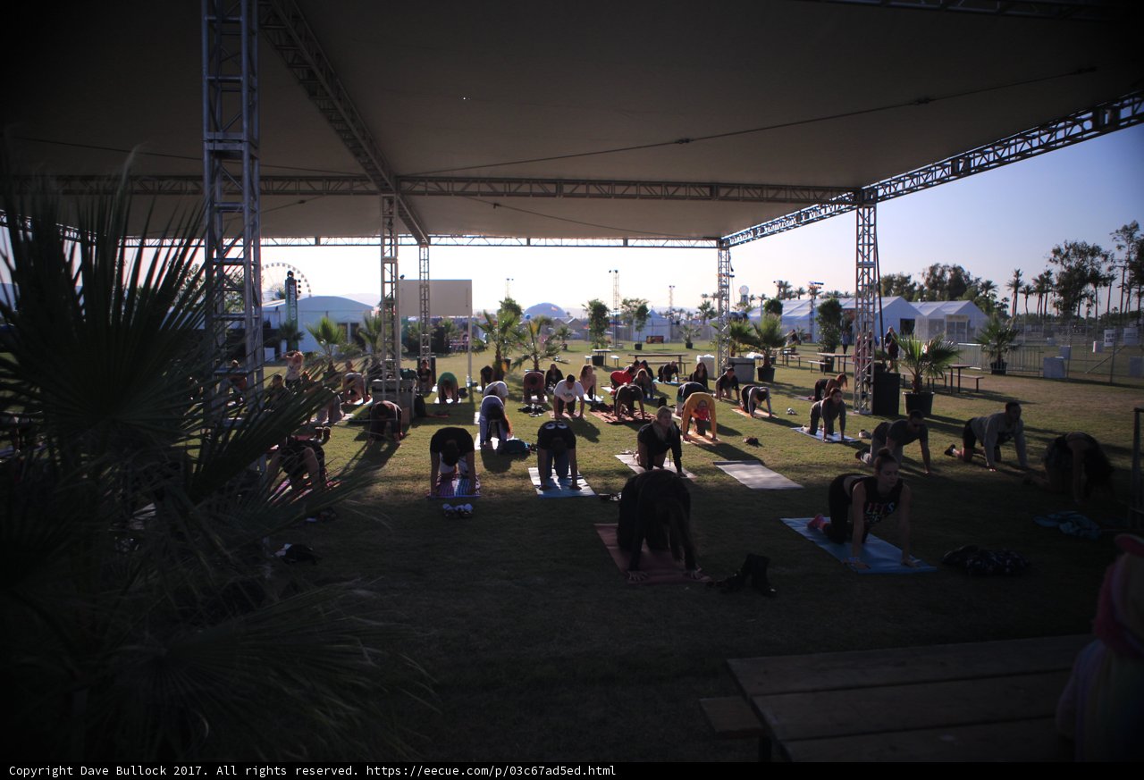Yoga in the Park