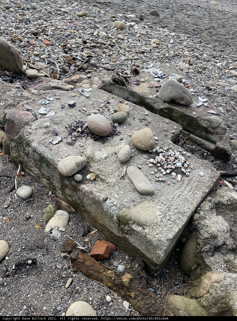 Natural Stone Canvas