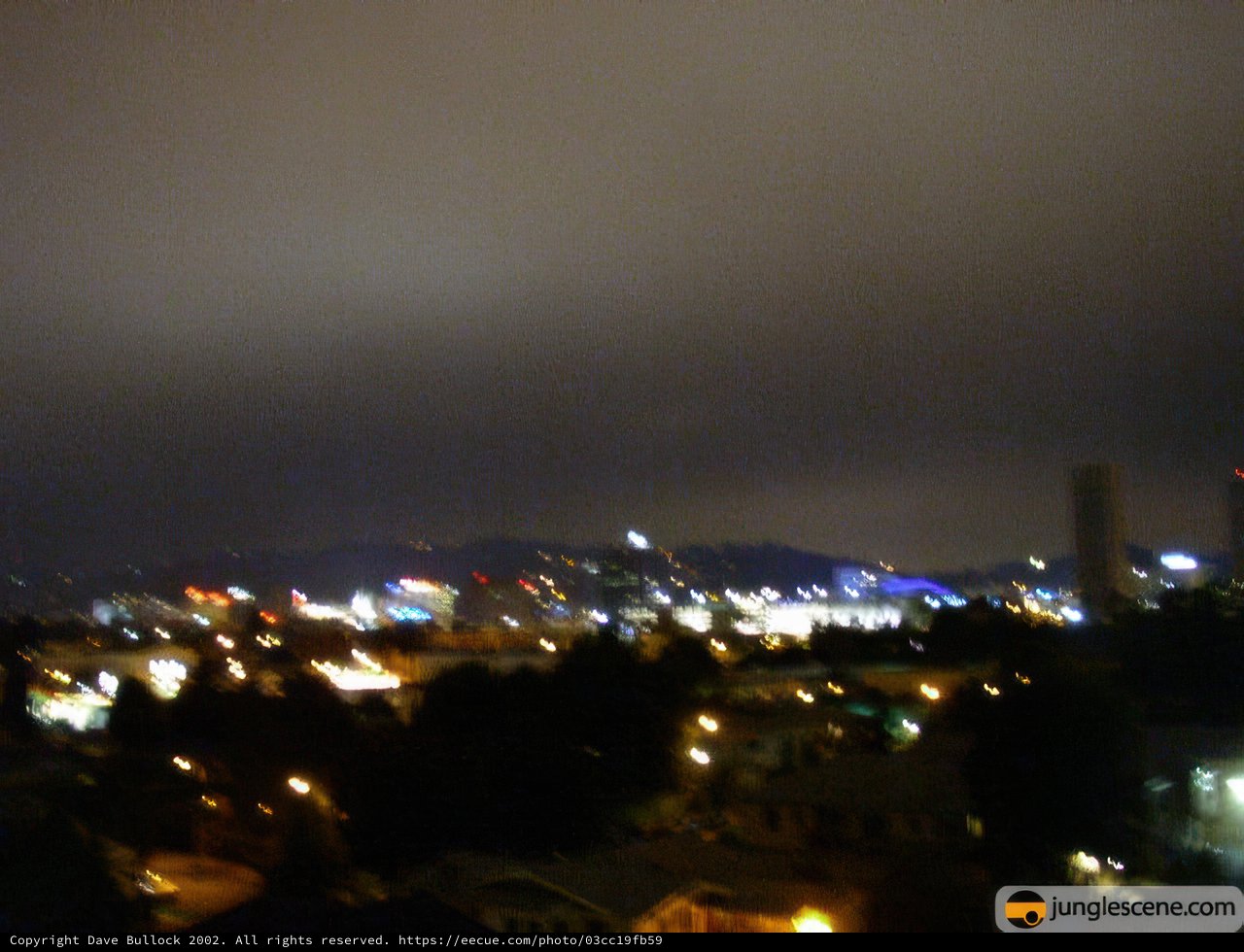 Nighttime Metropolis View