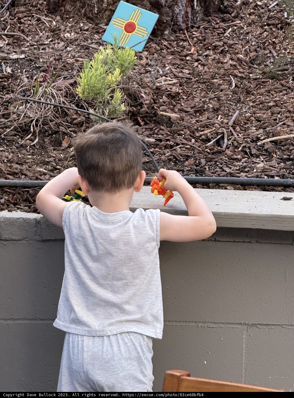 Garden Adventures