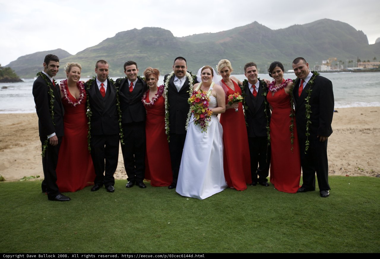 Beach Wedding Bliss