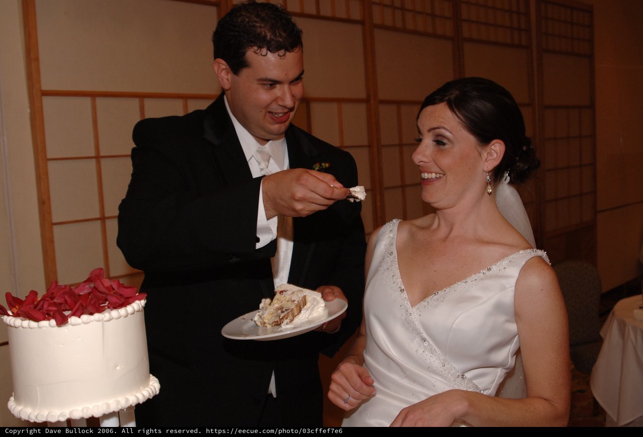 Bride and Groom Share Wedding Cake Feeding Moment