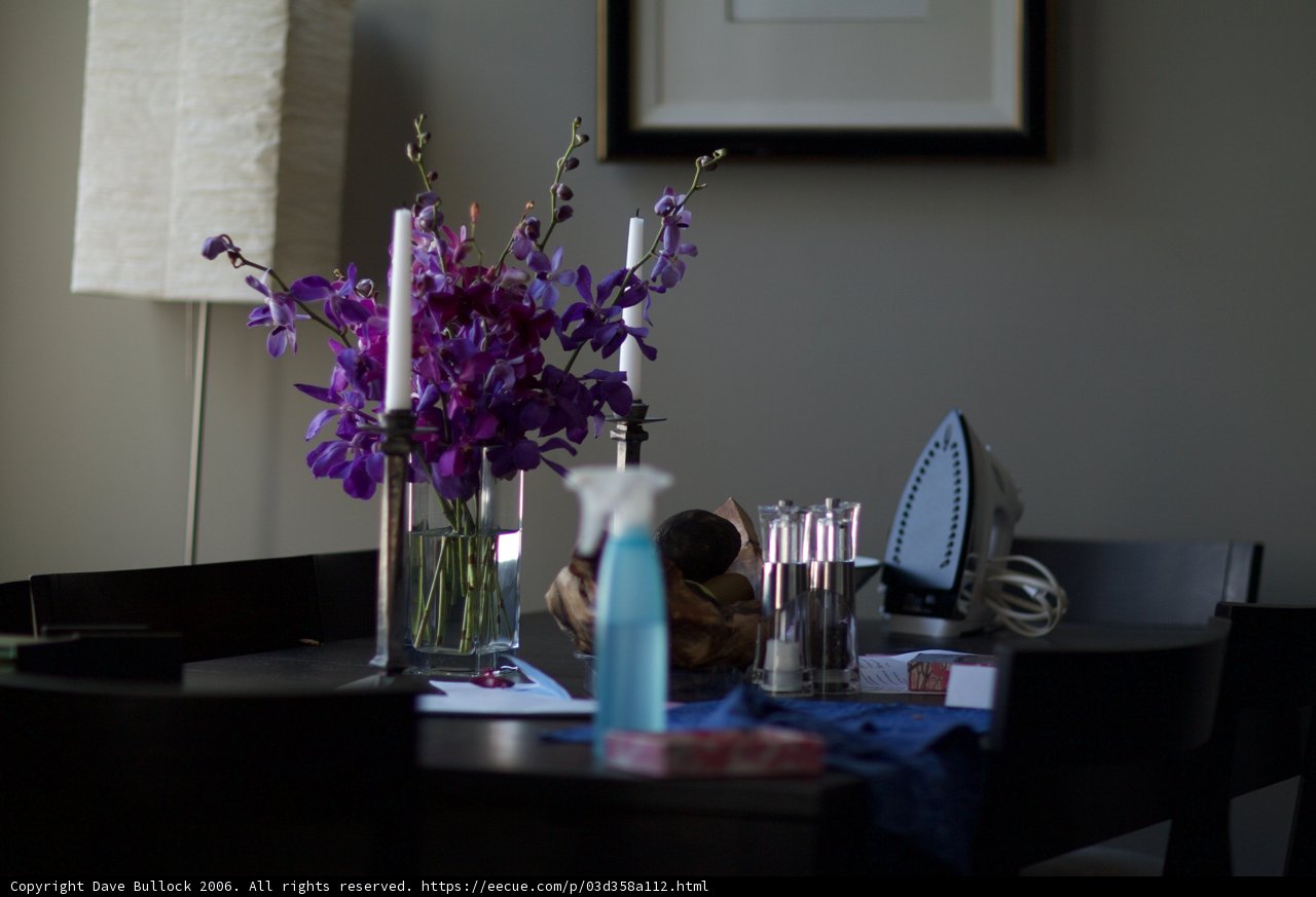 Purple Bloom