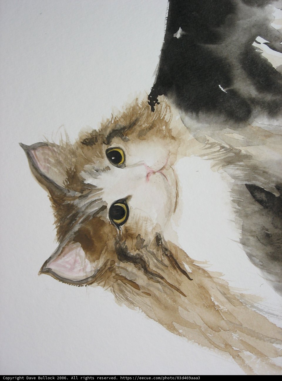 Big-Eyed Cat Watercolor