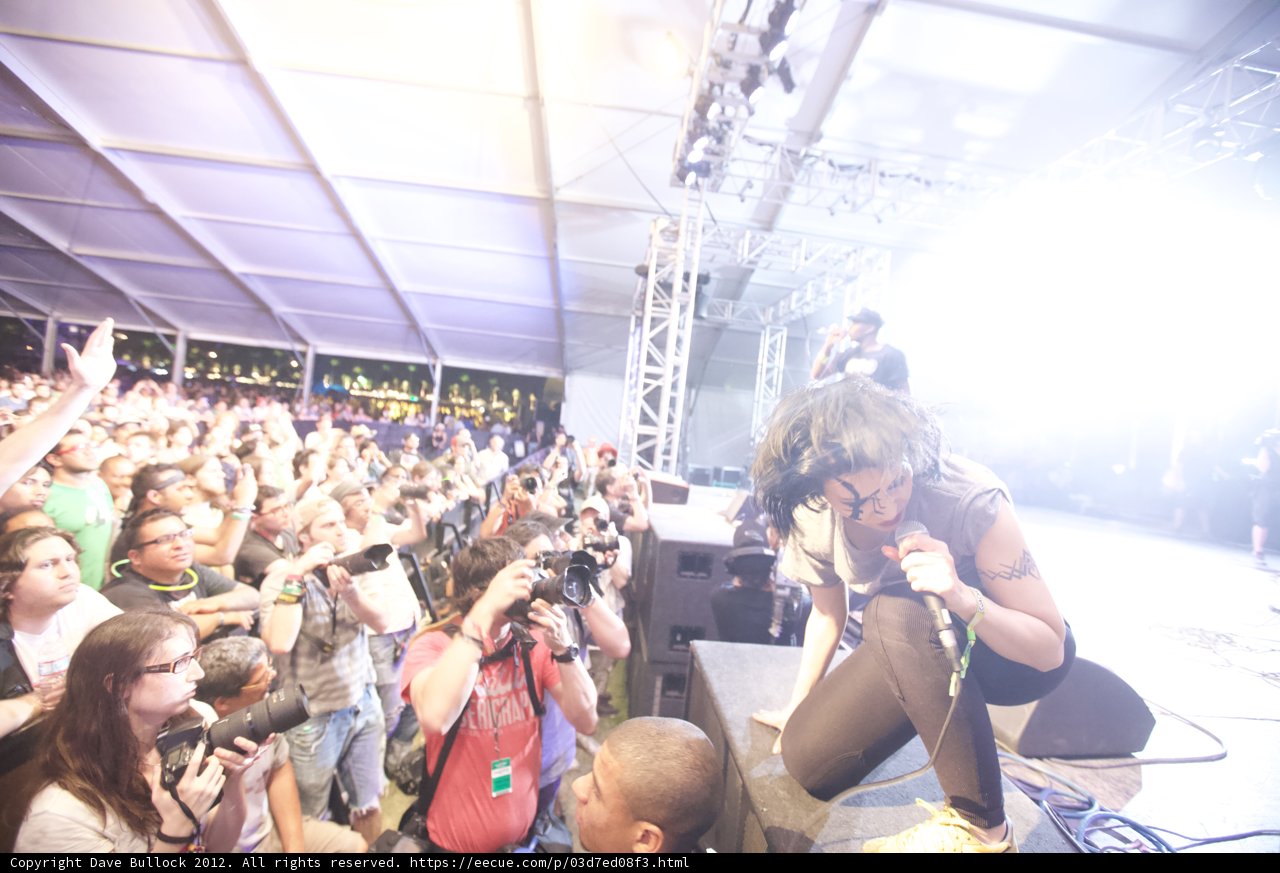The Performer and His Crowd