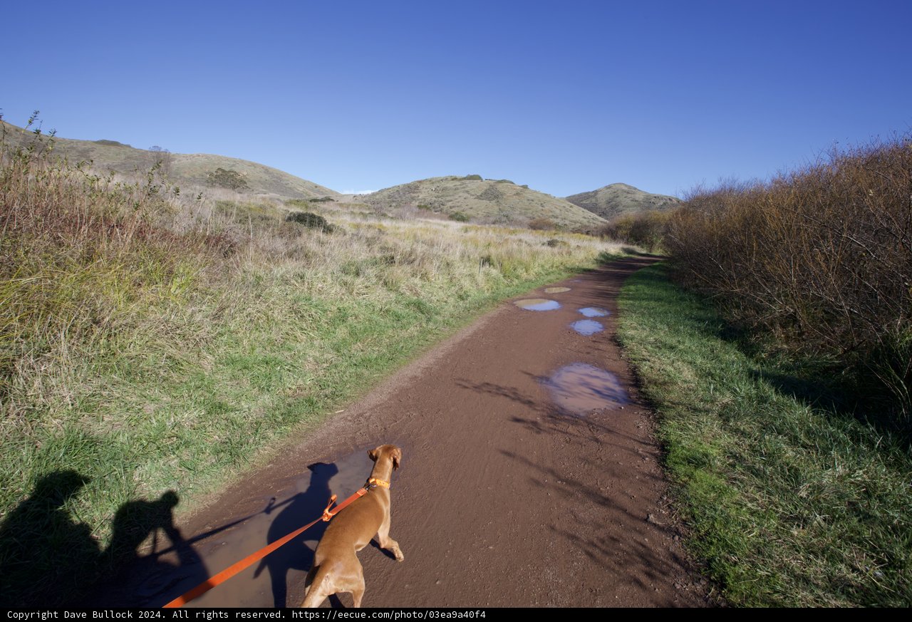 Leisurely Stroll in the Marin Headlands
