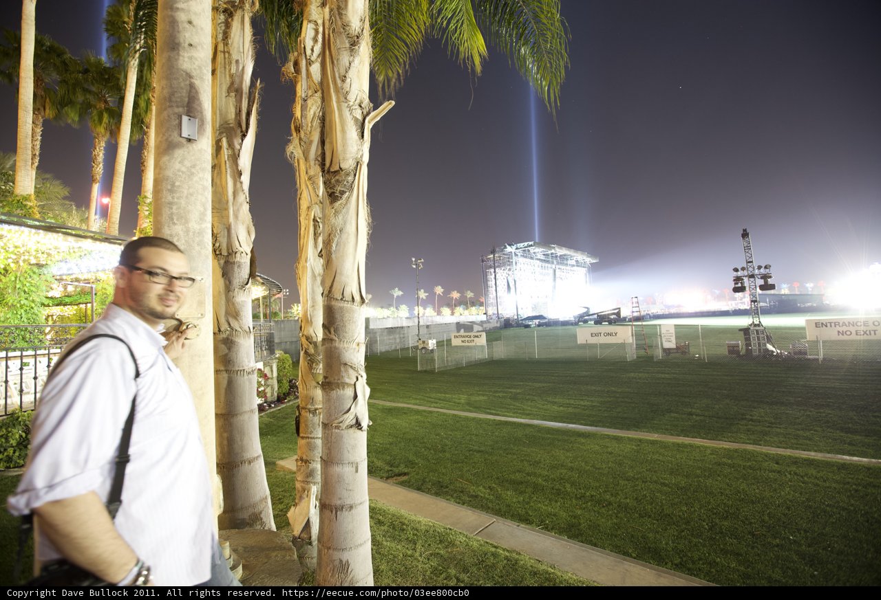 Standing Tall with the Palms