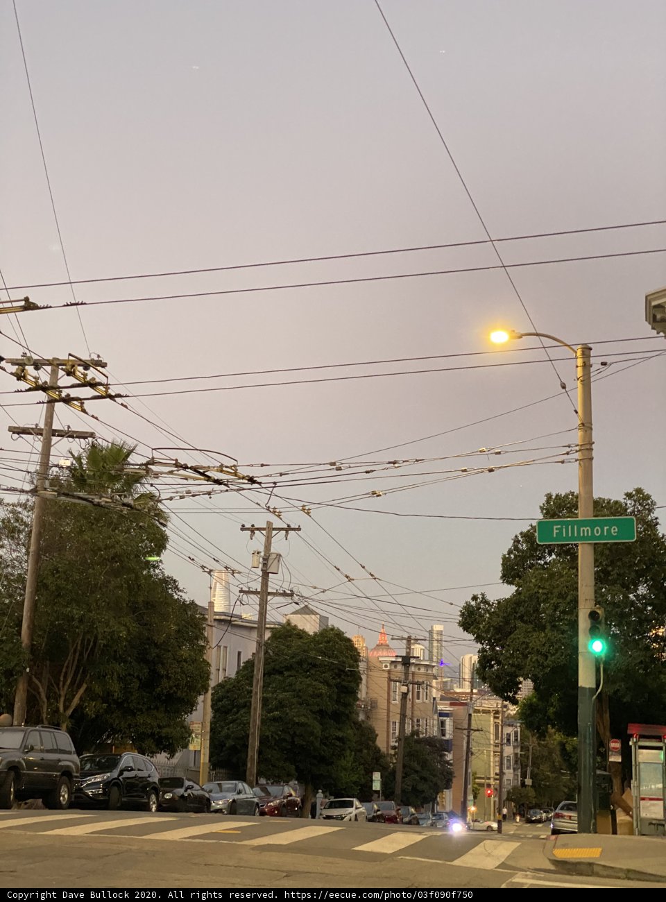Urban Jungle