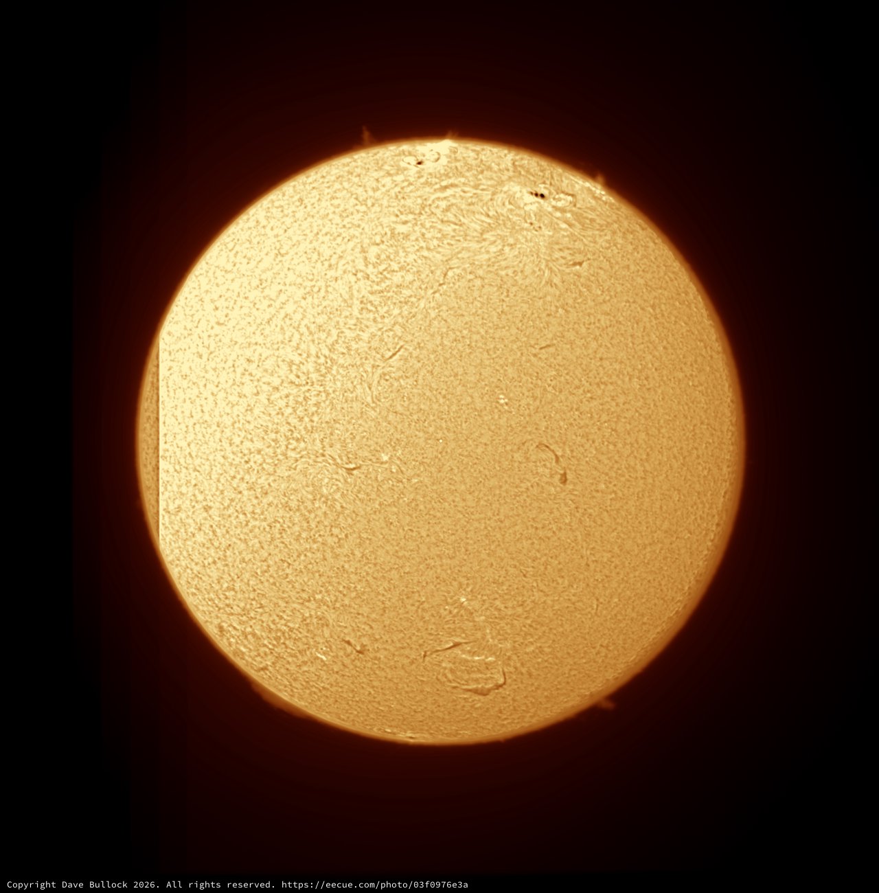 Hydrogen-Alpha Sun in Full Disk Glory, July 4 2026