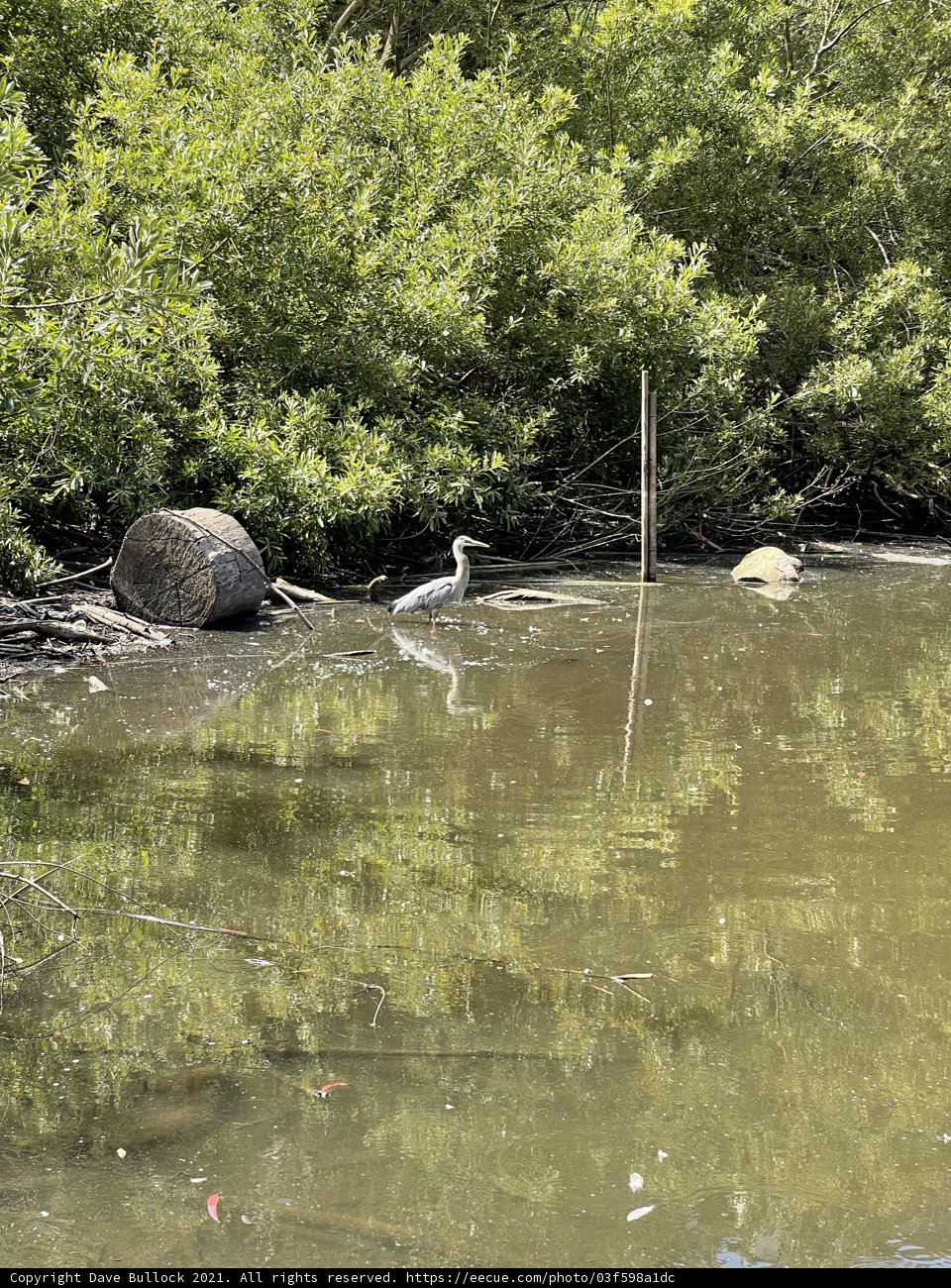 In the Calm Waters