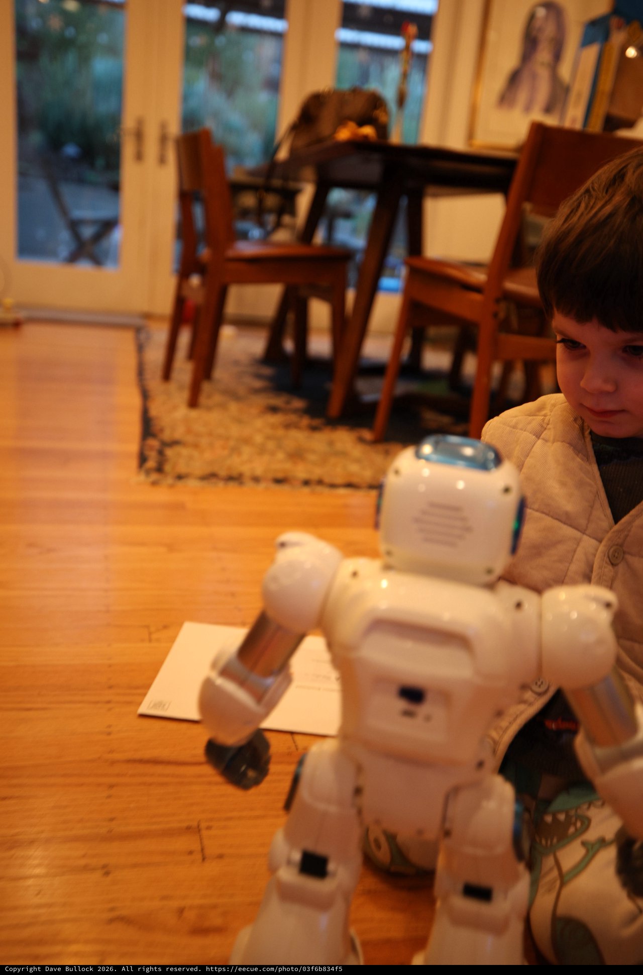 Child Observing White Humanoid Robot in Home