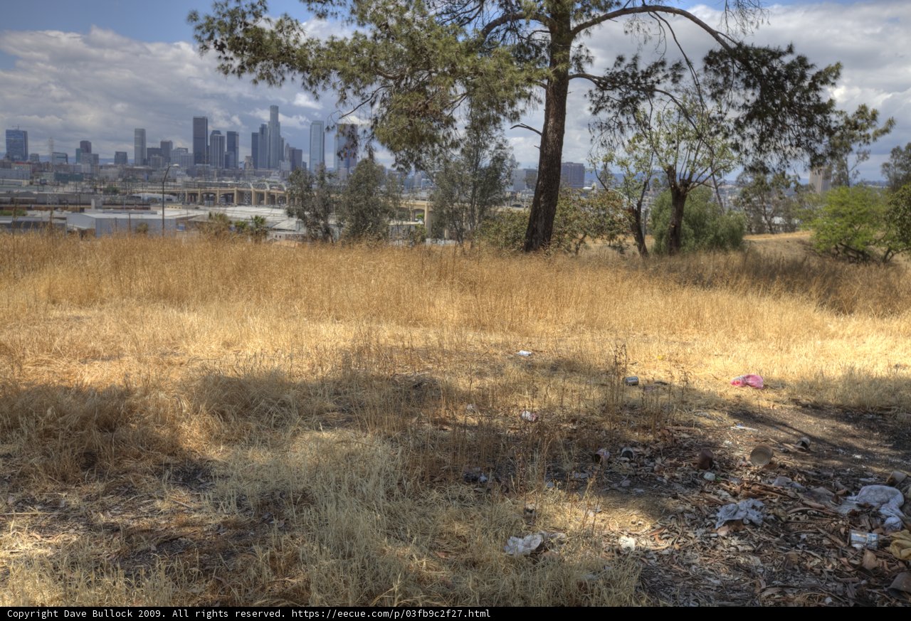 City Skyline amidst a Field of Grass