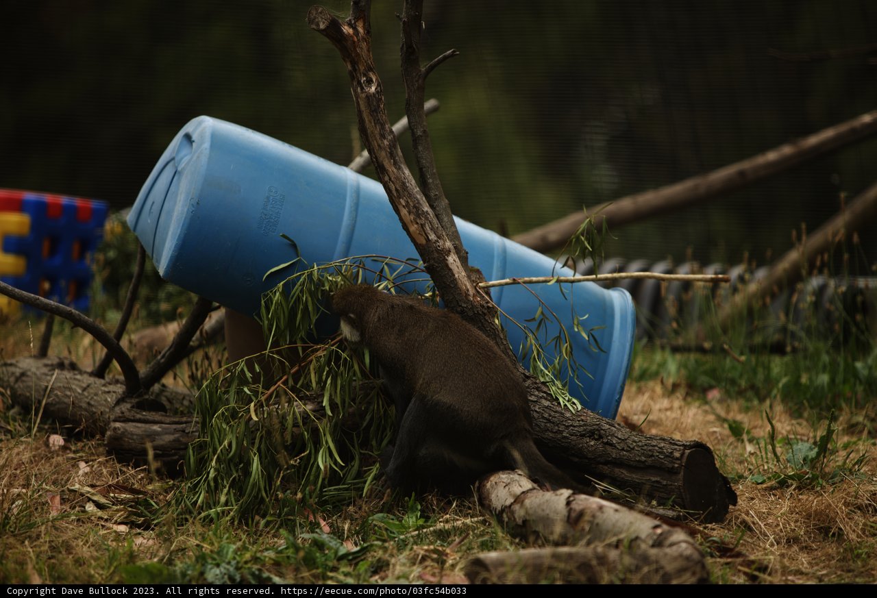 Leisurely Lunch at Oakland Zoo