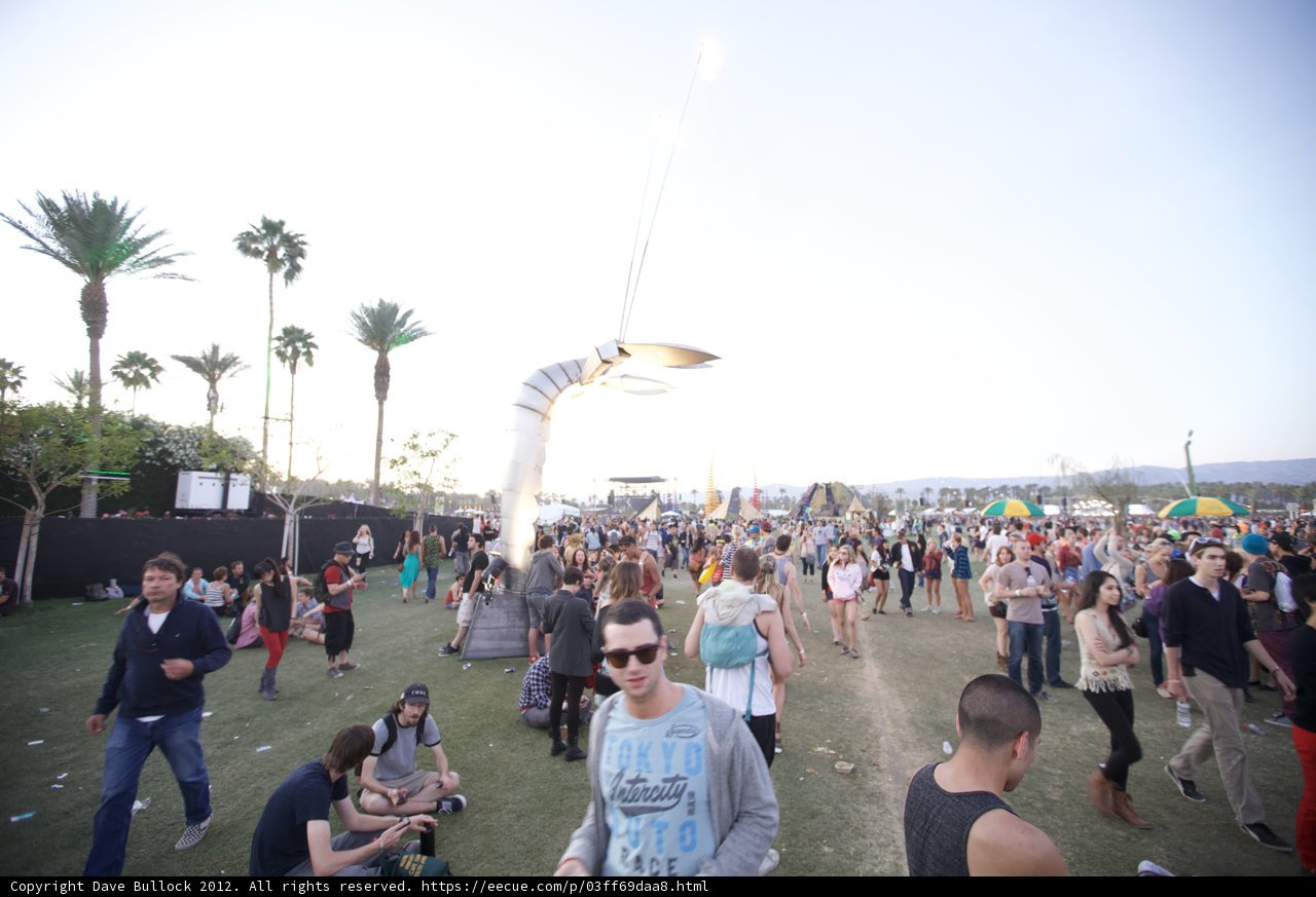Summer Fun at Coachella
