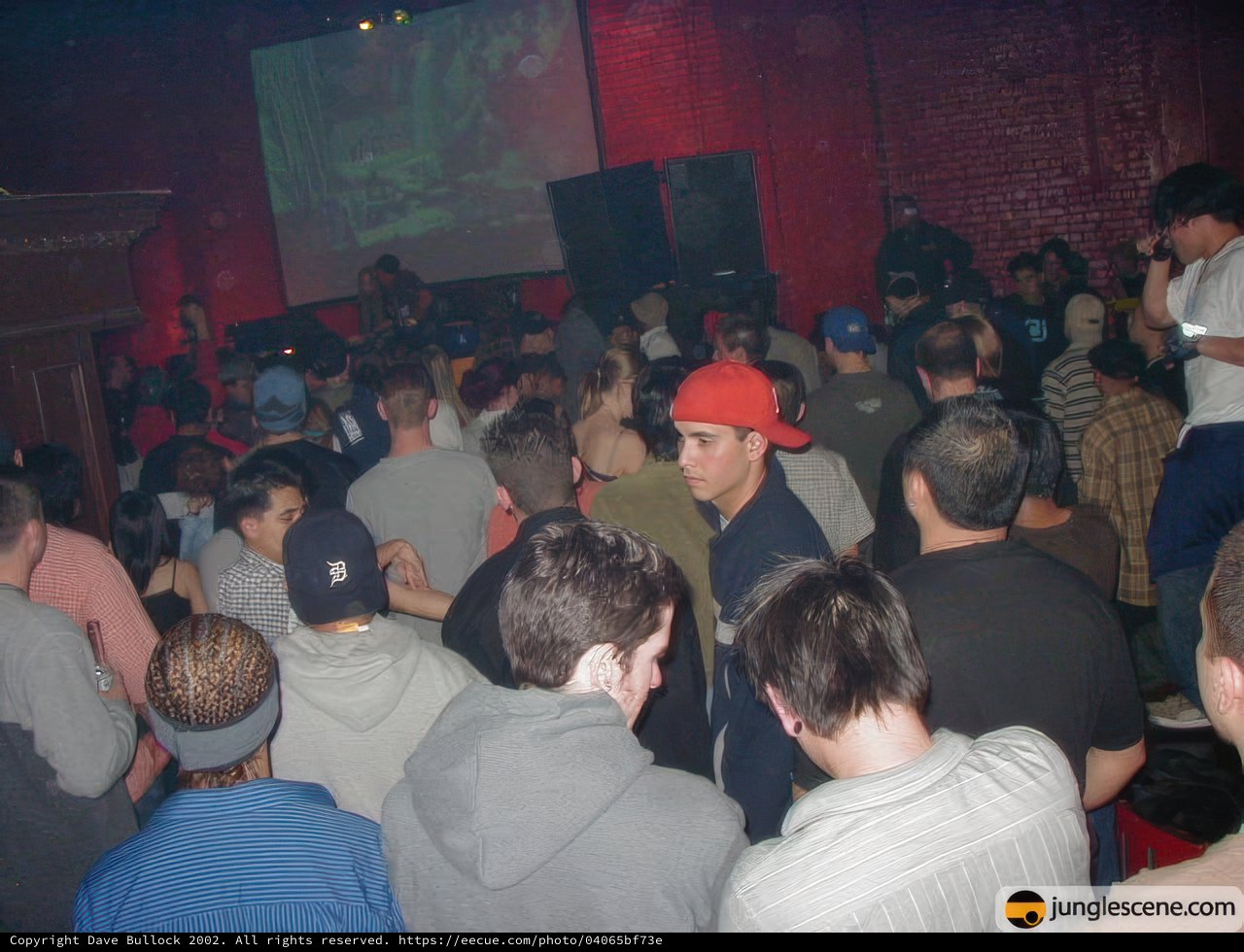 Red-Hatted Man in the Nightclub Crowd