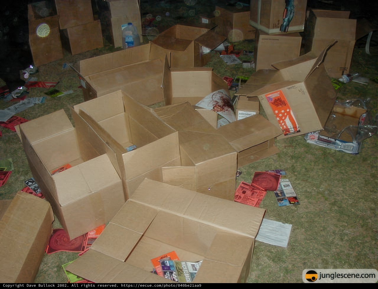 A Disorganized Mess