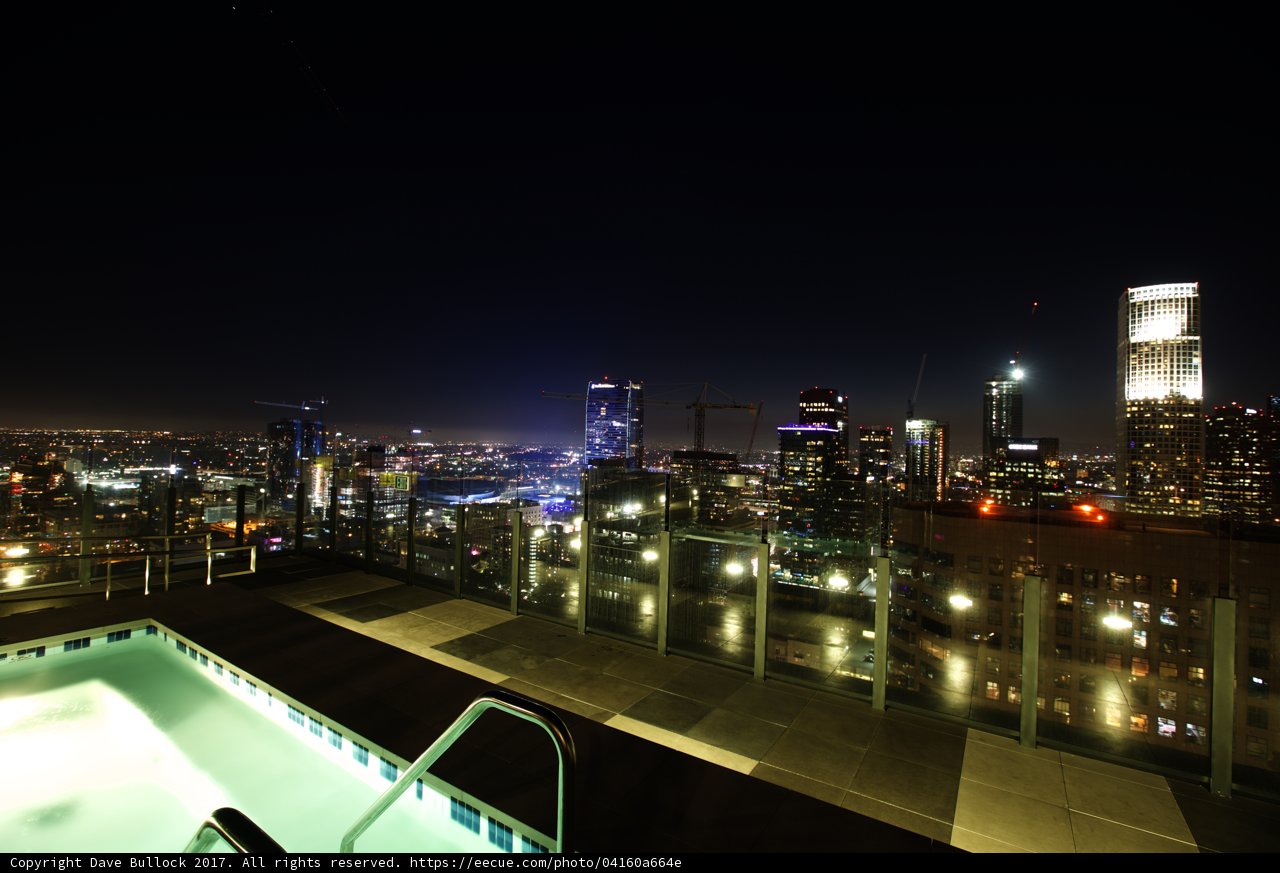 A Night In The Urban Jungle