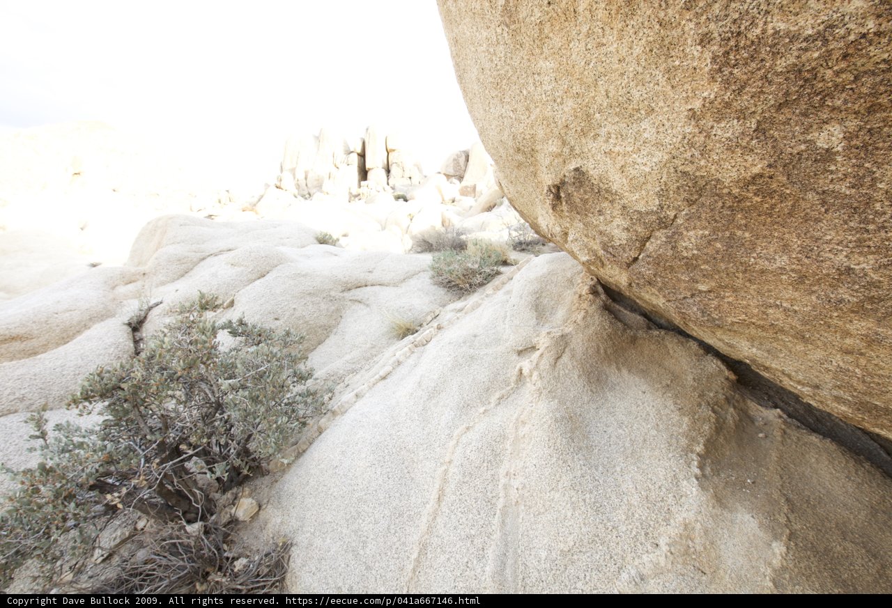 A Natural Wonder