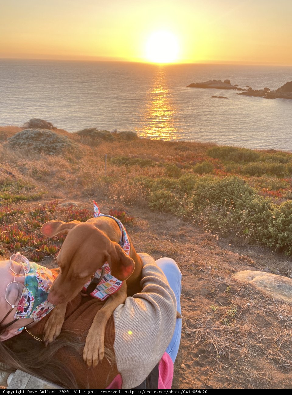 Sunset Serenade with a Furry Friend