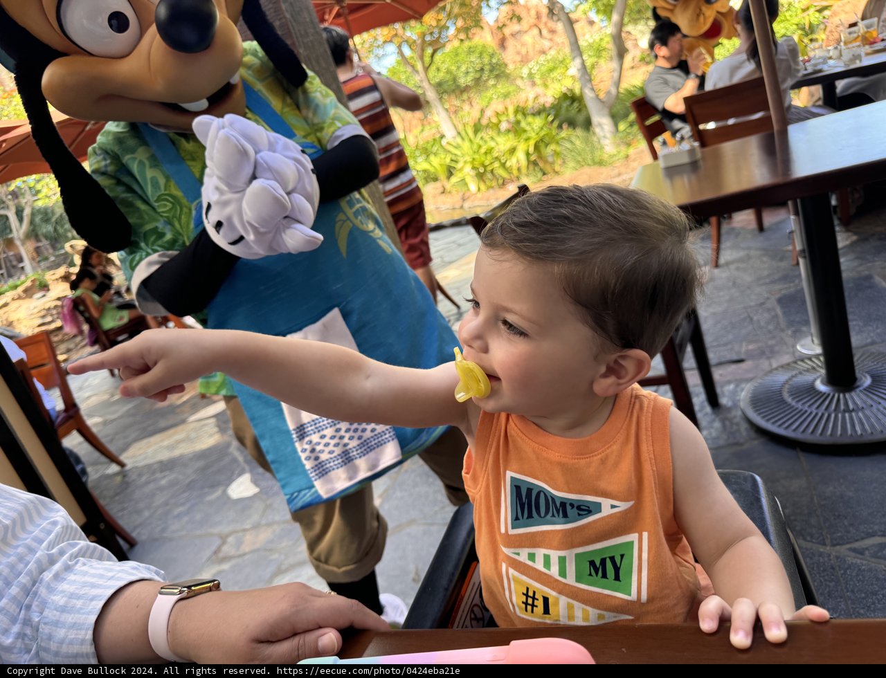 A Magical Breakfast Surprise