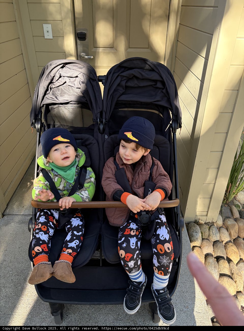Cozy Duo in Carmel