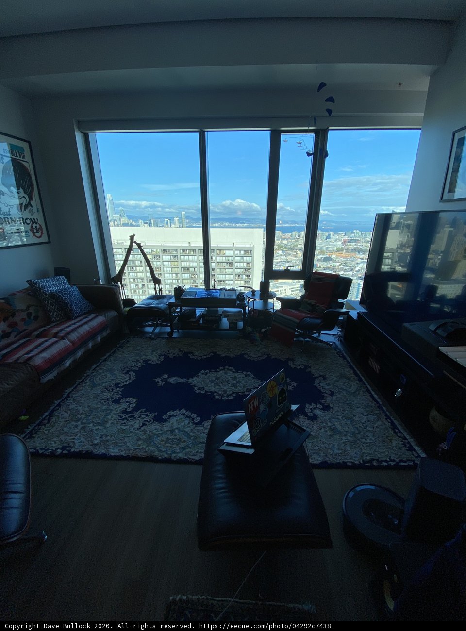 Mountain-View Serenity in a San Francisco Living Room