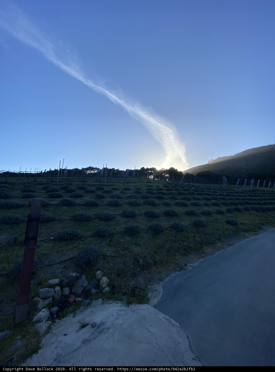 Sunset over the Vineyard