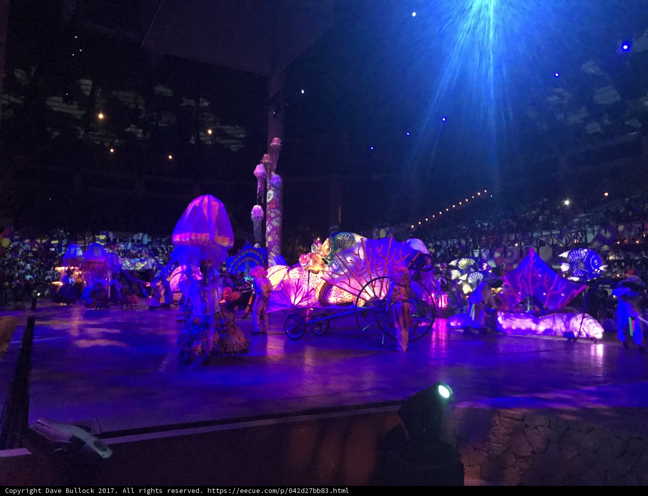Big Top Extravaganza