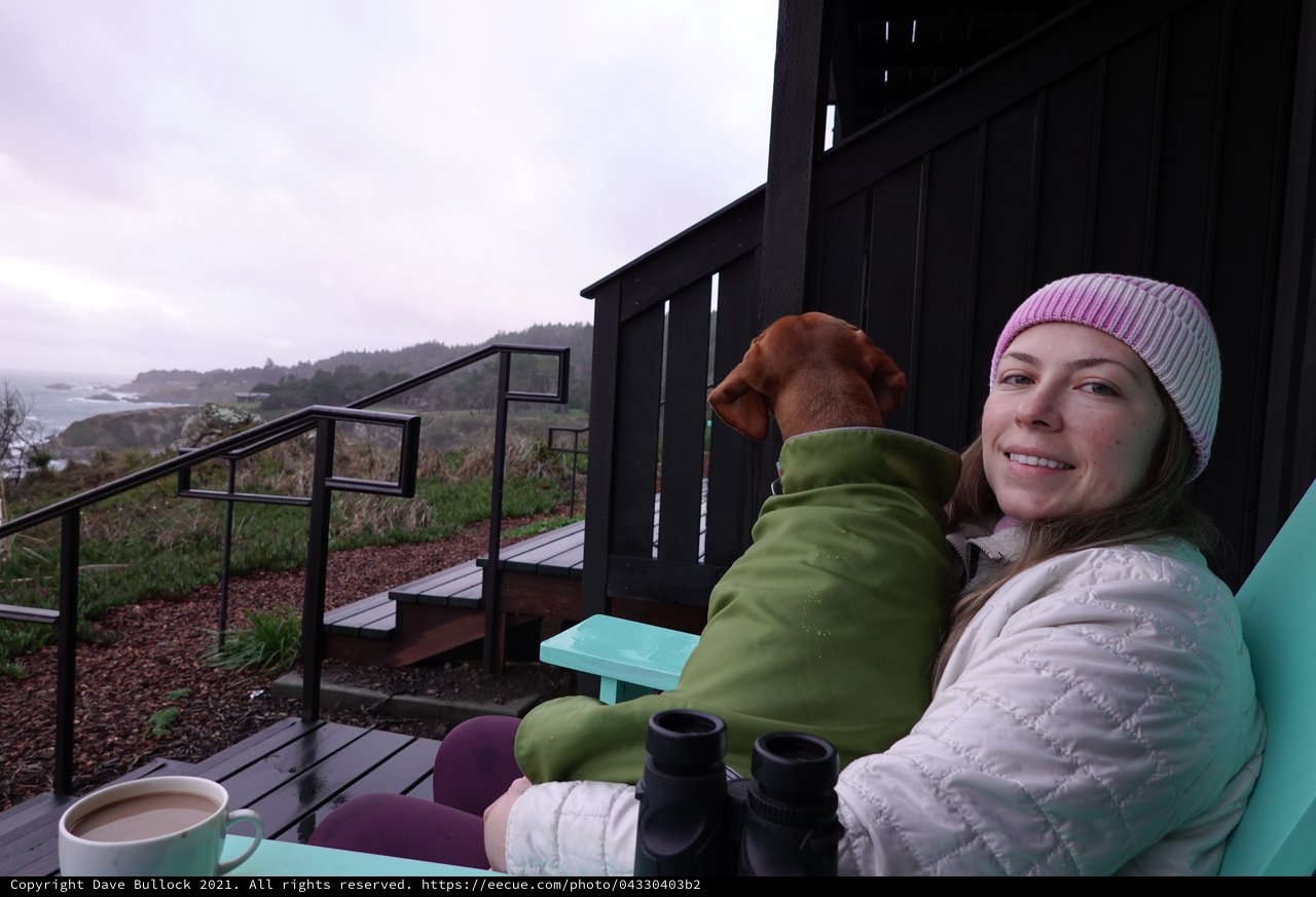 Cozy Morning Coffee with Dog on Coastal Deck