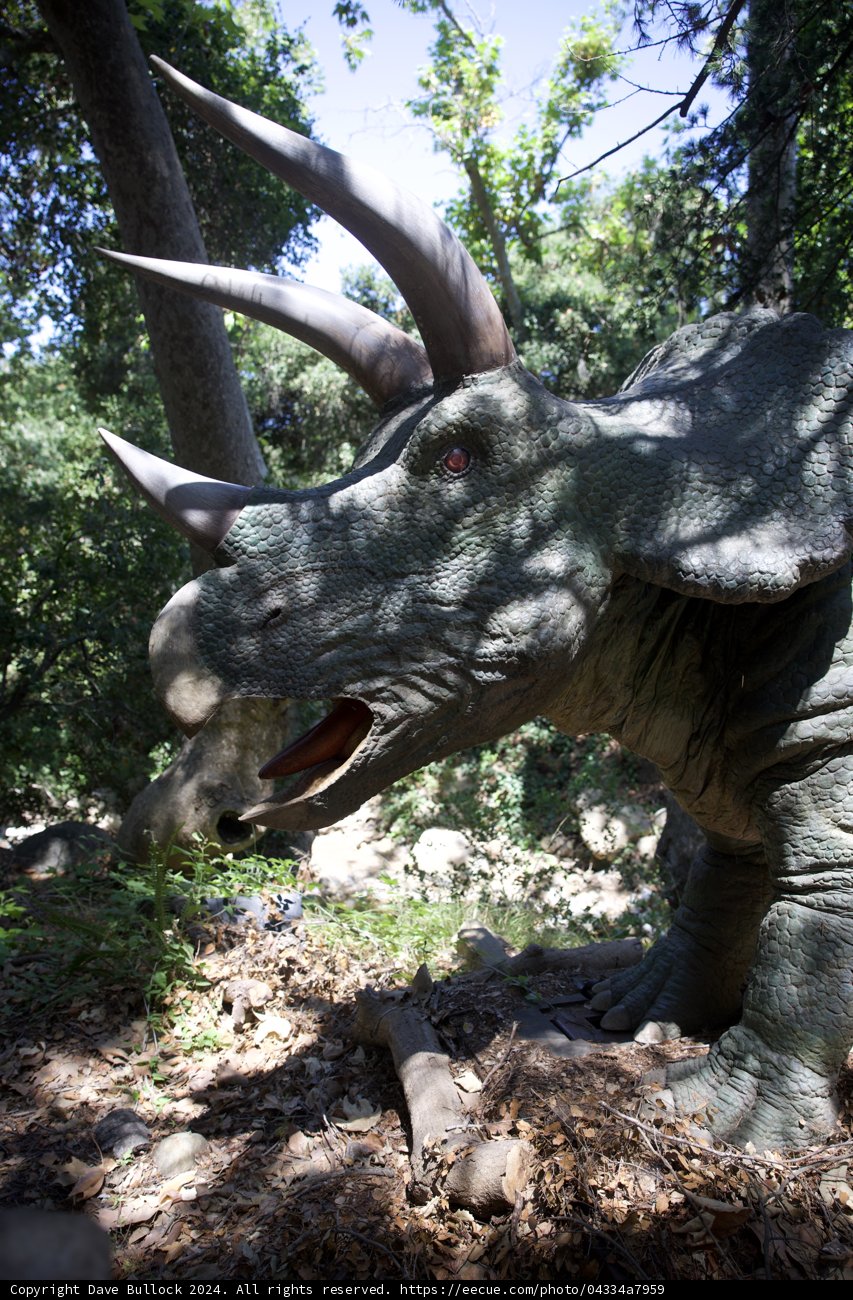 Dinosaur Adventure at Wesley's Birthday