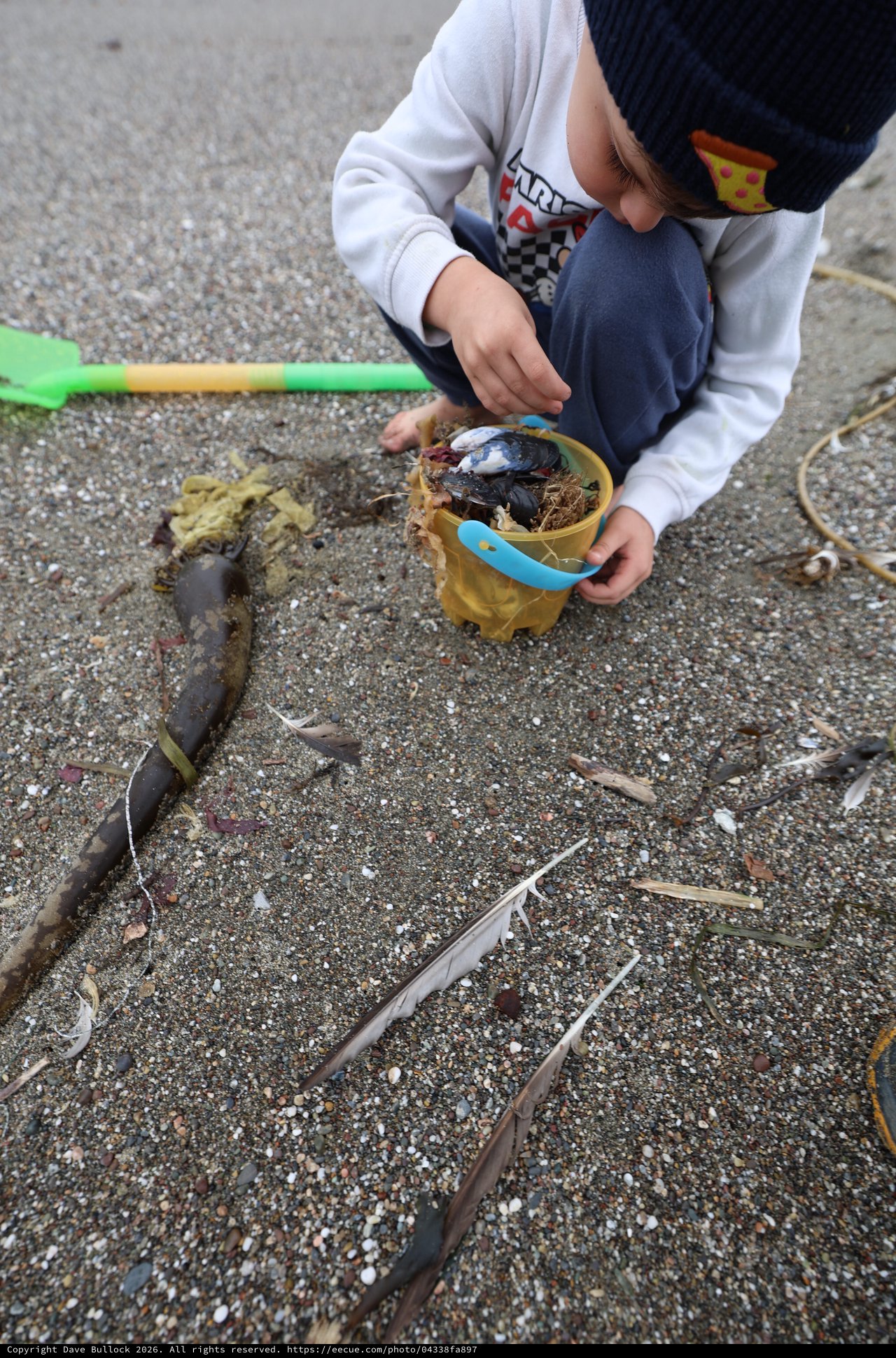 Young Explorer Collecting Beach Treasures in Sand