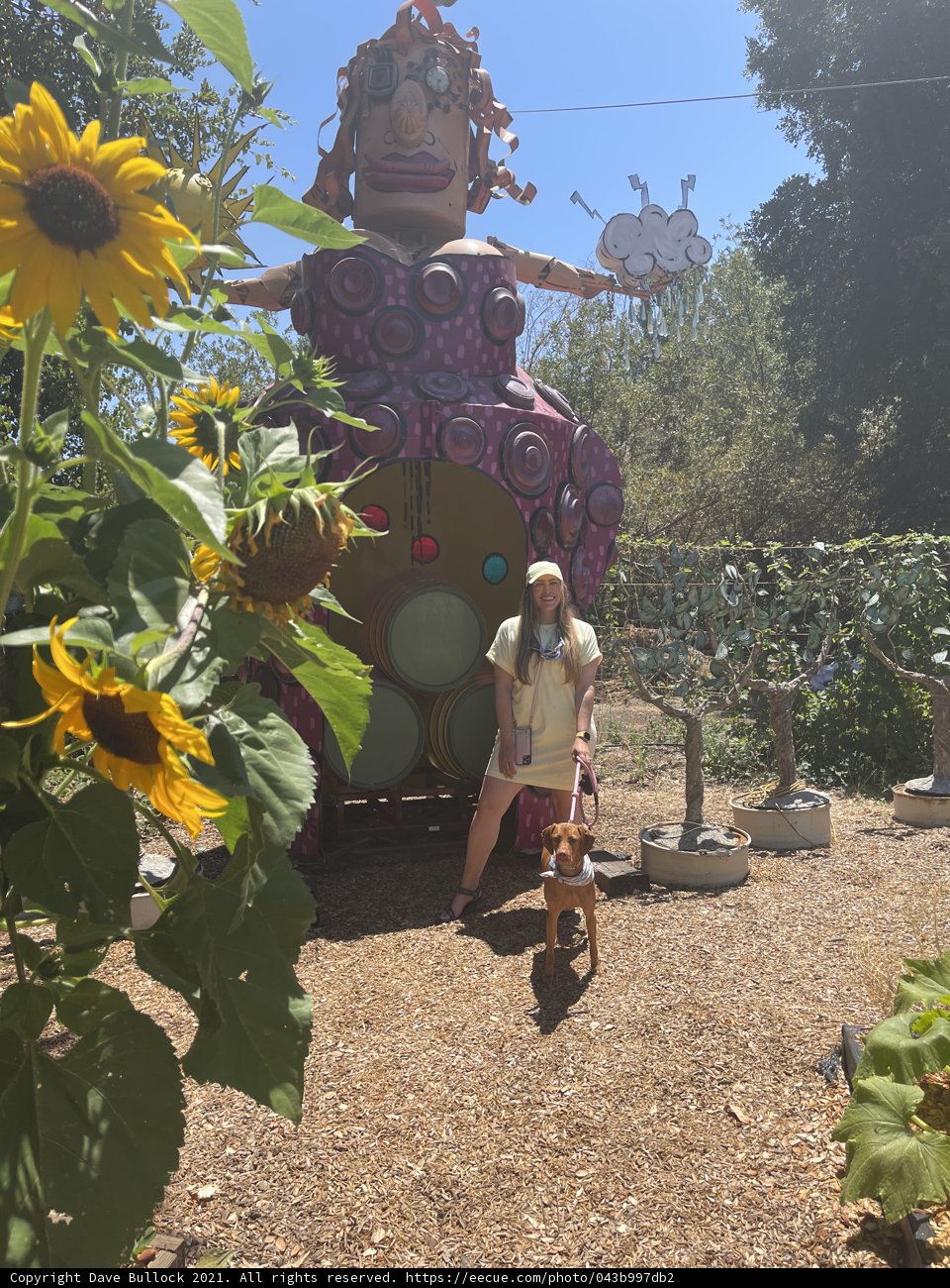 Woman and Dog Admiring Giant Floral Statue