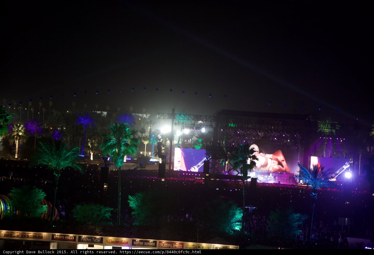 Palm Trees and Spotlights at Night Concert