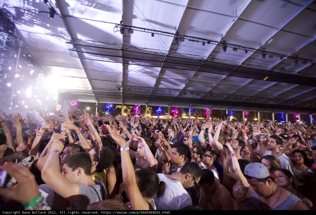 Urban Concert-Goers Get into the Beat