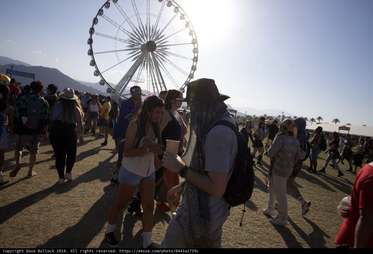 Sunset Vibes at Coachella 2024