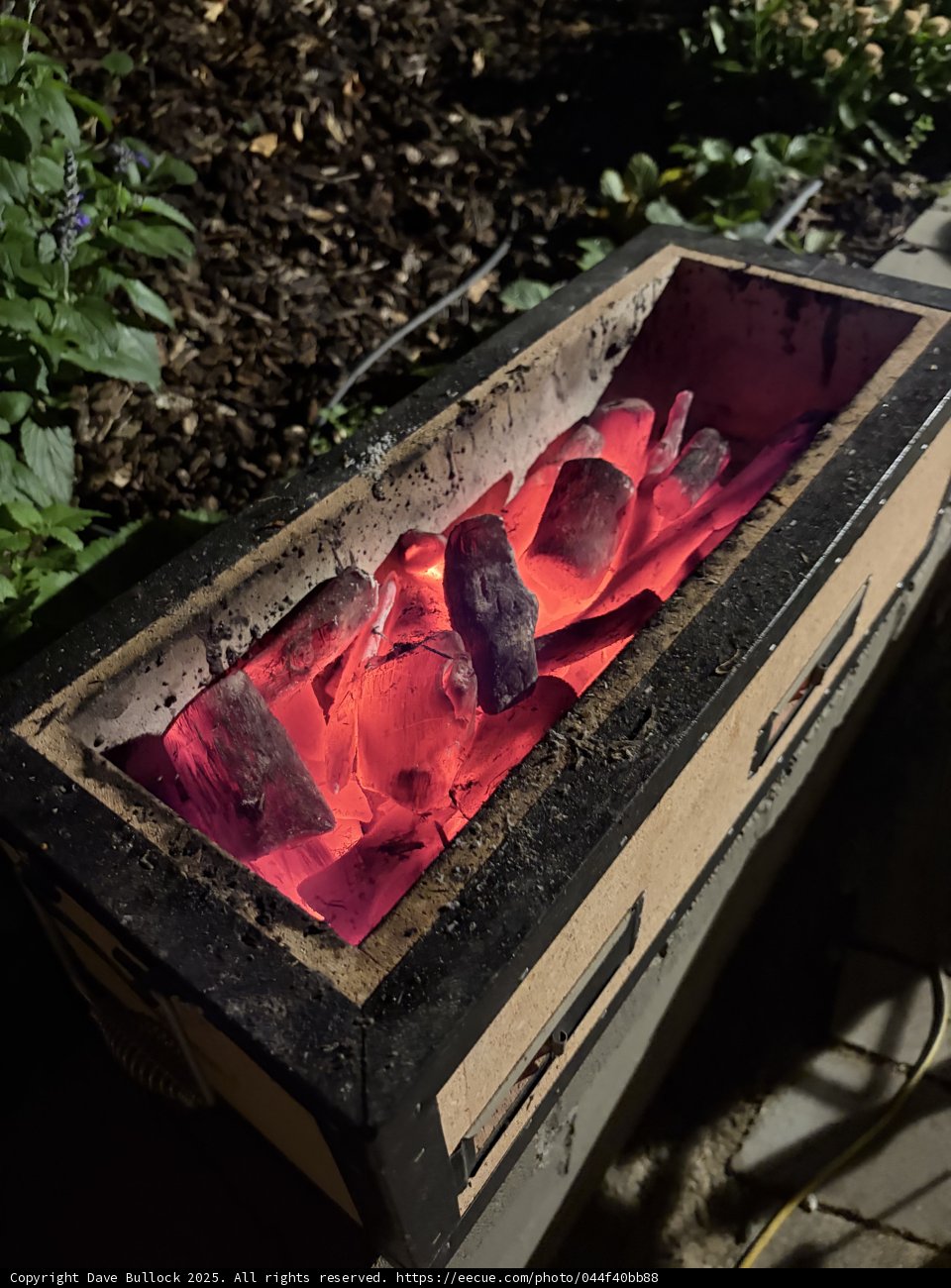 Ember Glow in the Garden